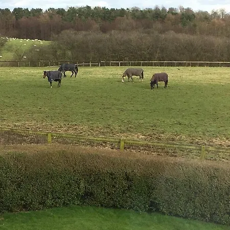 Cliff Stud Retreat, Helmsley - Cecil Hébergement de vacances *